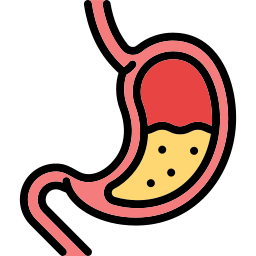 Post-Bariatric Care